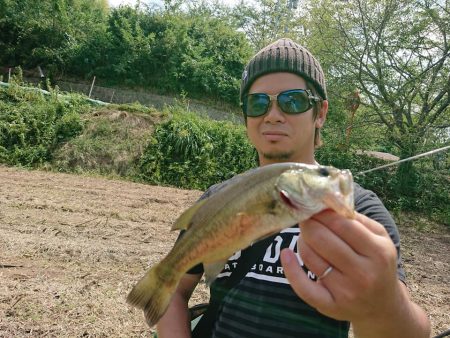 ノーシンカーリグ